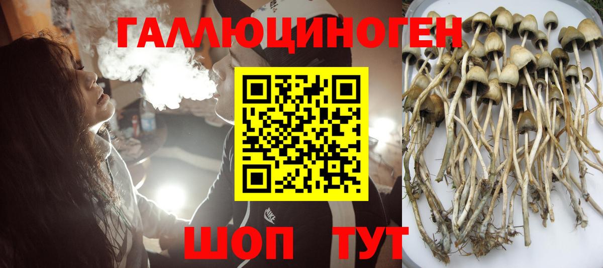 Спасск-Дальний  Псилоцибиновые грибы прущие грибы  Вход с VPN 
