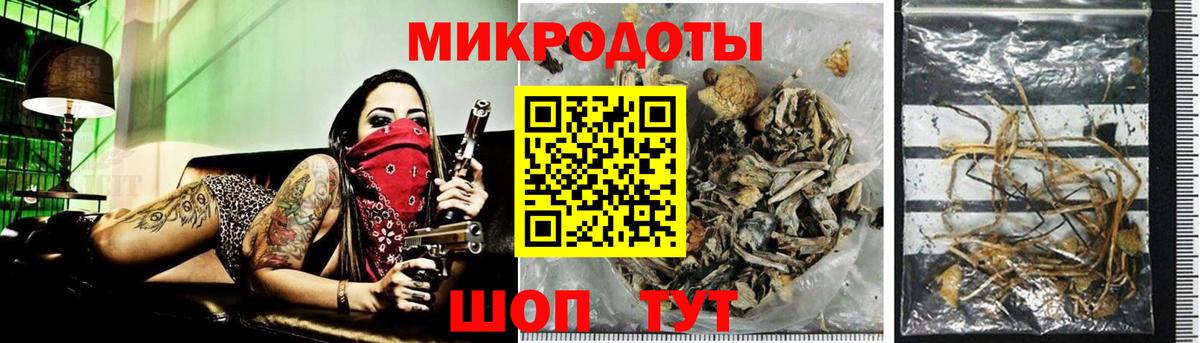 Псилоцибиновые грибы Cubensis Спасск-Дальний